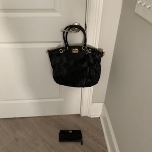 Never carried coach purse and wallet